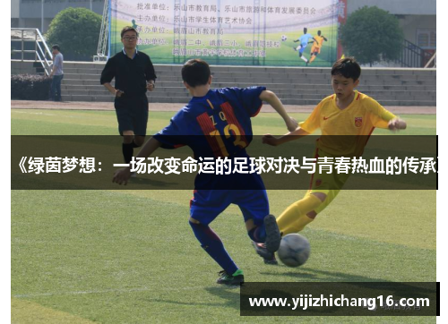 《绿茵梦想：一场改变命运的足球对决与青春热血的传承》