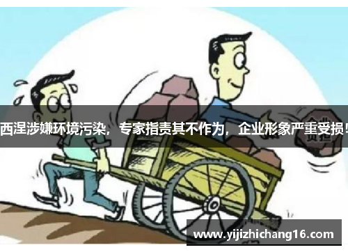 西涅涉嫌环境污染，专家指责其不作为，企业形象严重受损！