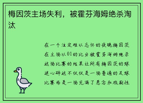 梅因茨主场失利，被霍芬海姆绝杀淘汰