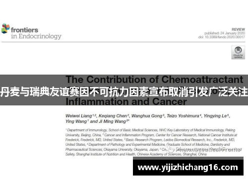 丹麦与瑞典友谊赛因不可抗力因素宣布取消引发广泛关注