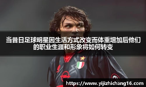 智博19有限公司