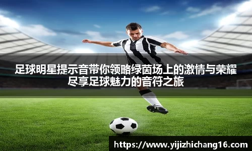 智博19有限公司